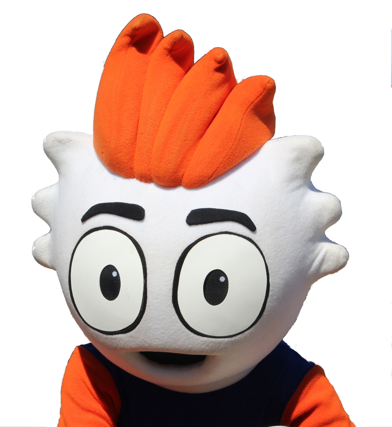 image de profil de Footix44